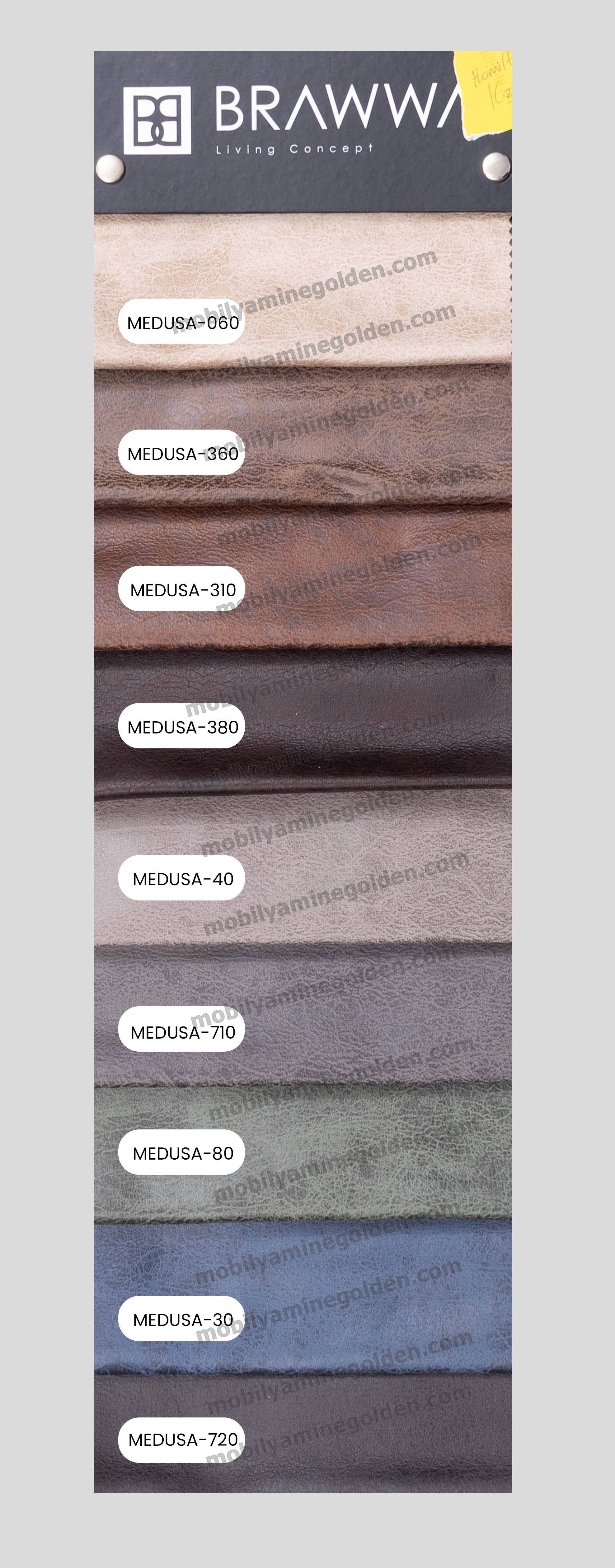 BRAWWA_MEDUSA-1.jpg (800 KB)