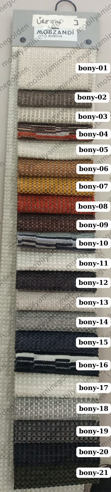 evsa-bony.jpg (533 KB)