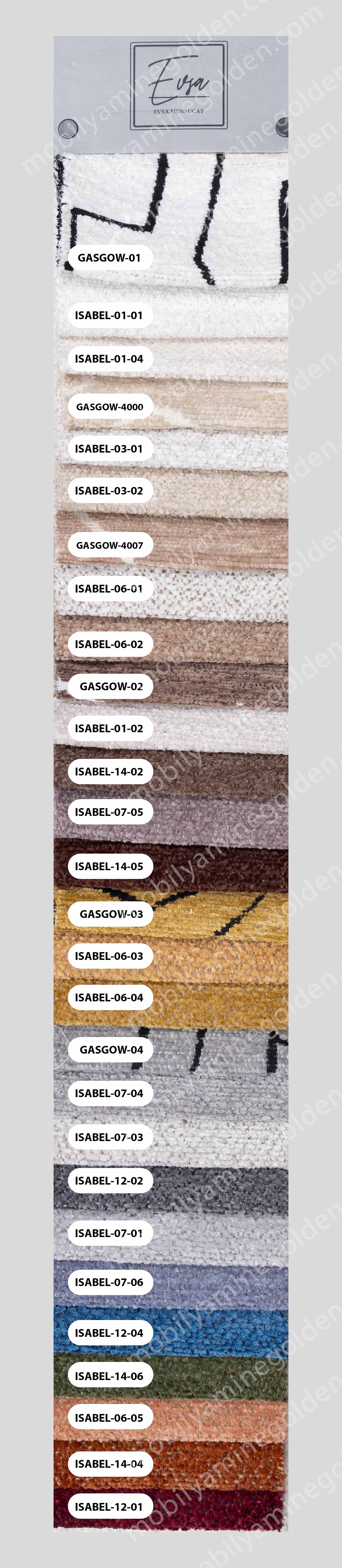 evsa-gasgow-isabel.jpg (460 KB)