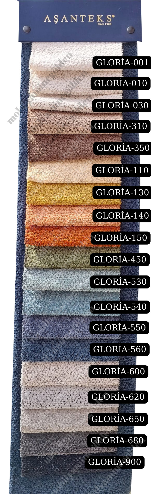 gloria.jpg (490 KB)
