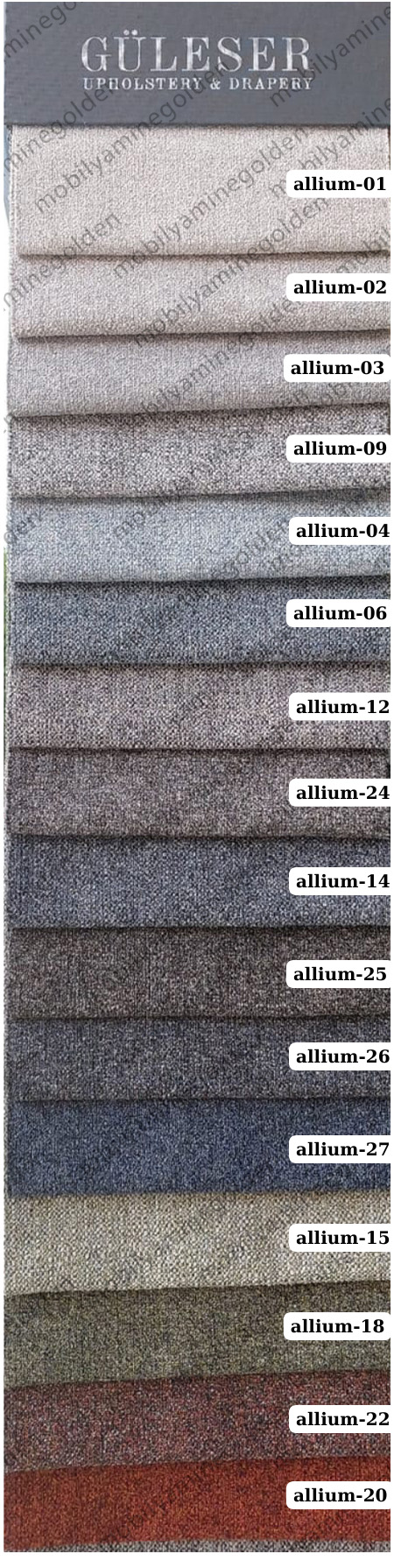guleser-allium.jpg (371 KB)