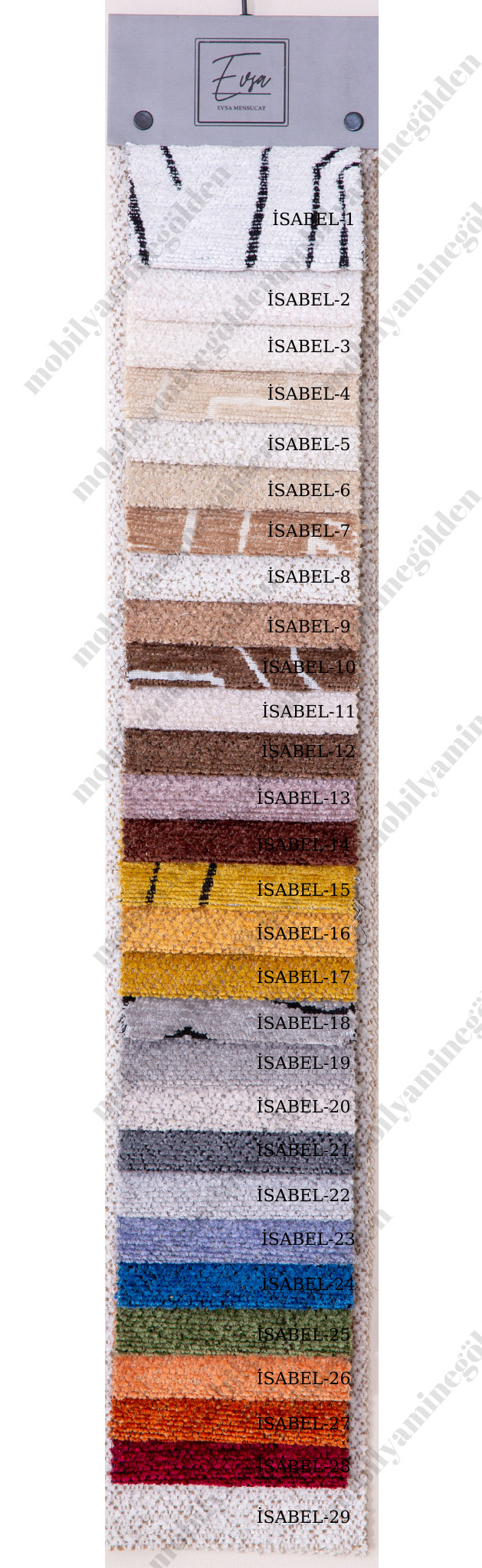 isabel-evsa.jpg (443 KB)