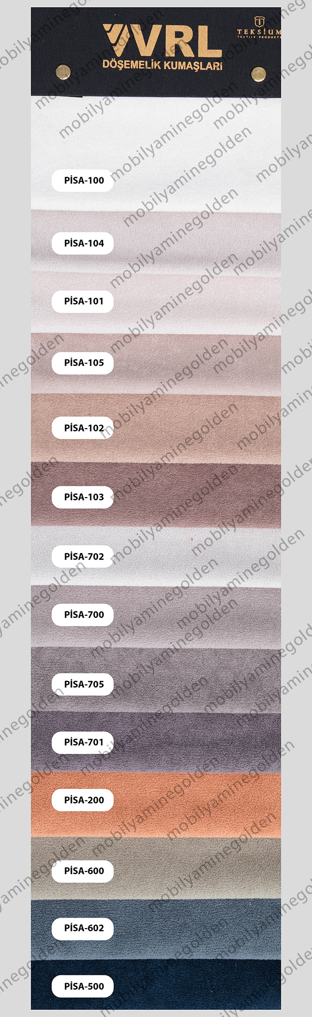 vrl-pisa.jpg (477 KB)