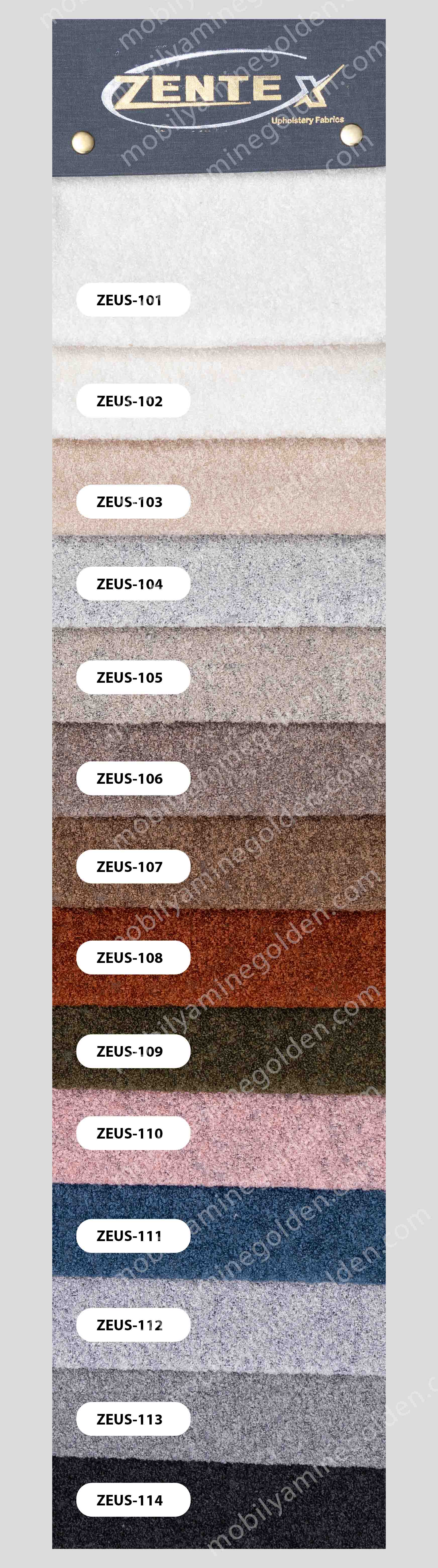 zentex-zeus.jpg (465 KB)